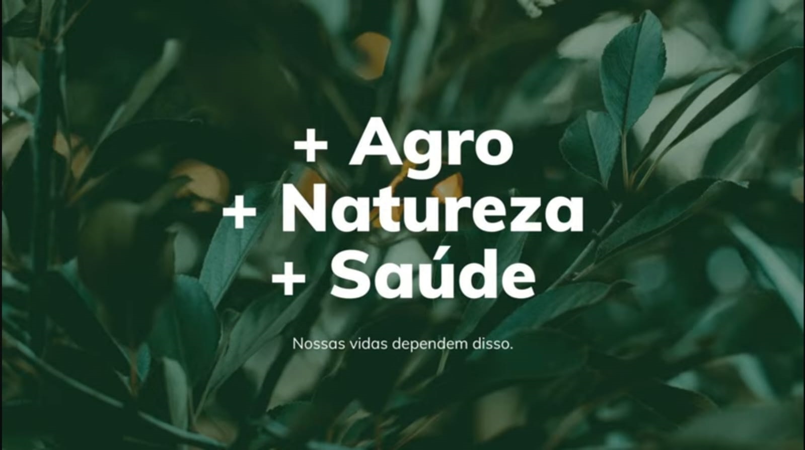 Programa Agro & Negócios