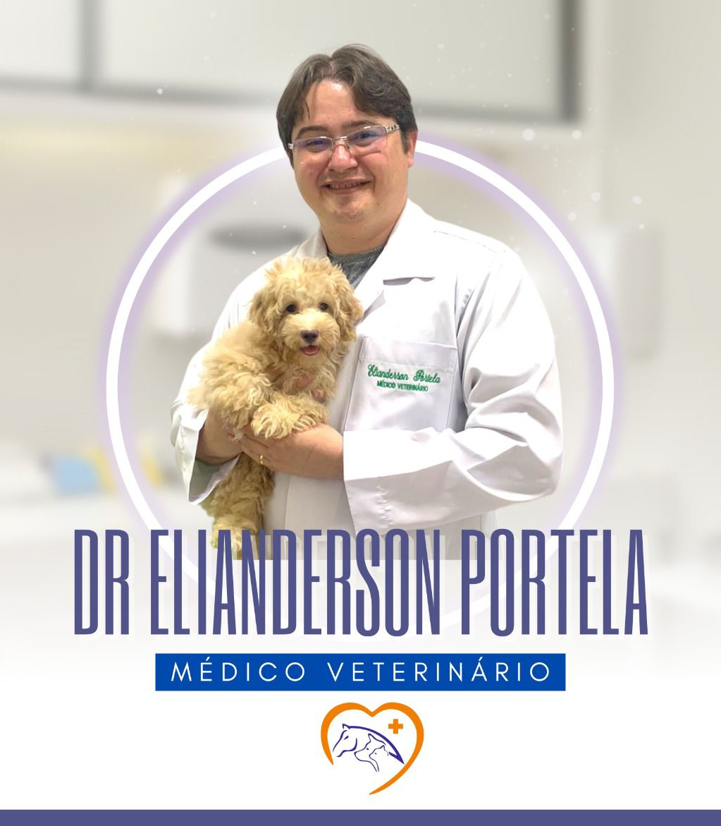 Como empreender na medicina veterinária?