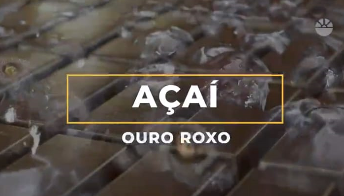 PEC Nordeste 2025: Maior evento agro do Norte e Nordeste – Agropar participando