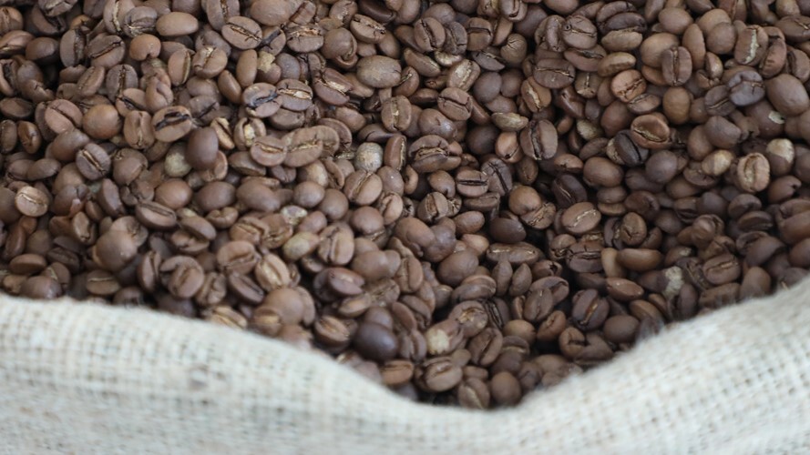 Preço do quilo do café está mais caro do que um dia trabalhado de quem ganha um salário mínimo
