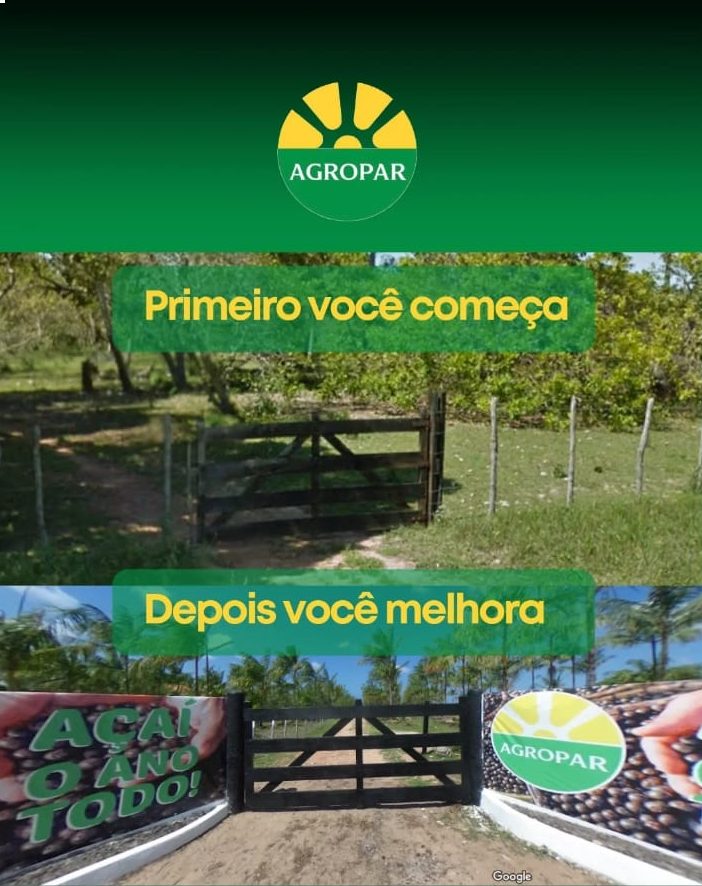 Governo do Ceará através da SDE incentiva atração de empreendimentos do ramo de produção de açaí no Estado