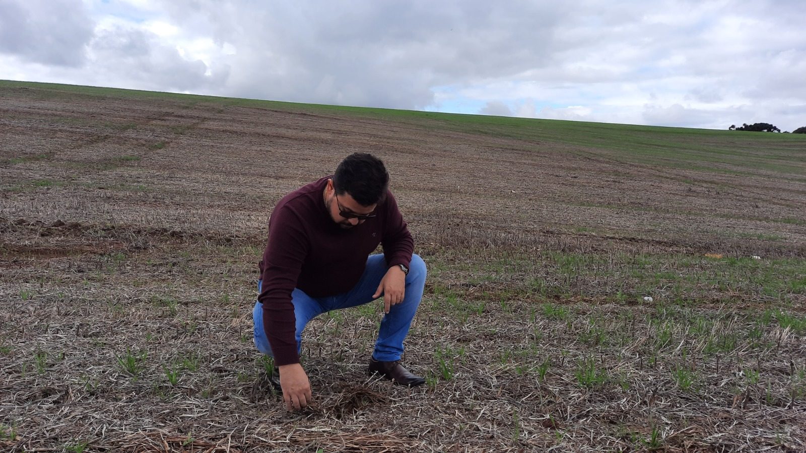 Cautela e Estratégia: O Futuro do Agro Brasileiro em Tempos de Oportunidade
