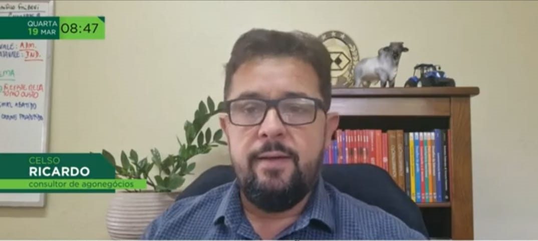 Brasil vs. Estados Unidos: A Diferença Entre Gestão Estratégica e Amadorismo Político