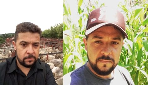 Diversificar por Diversificar Não Resolve: A Verdade Sobre a Produção de Alimentos no Brasil