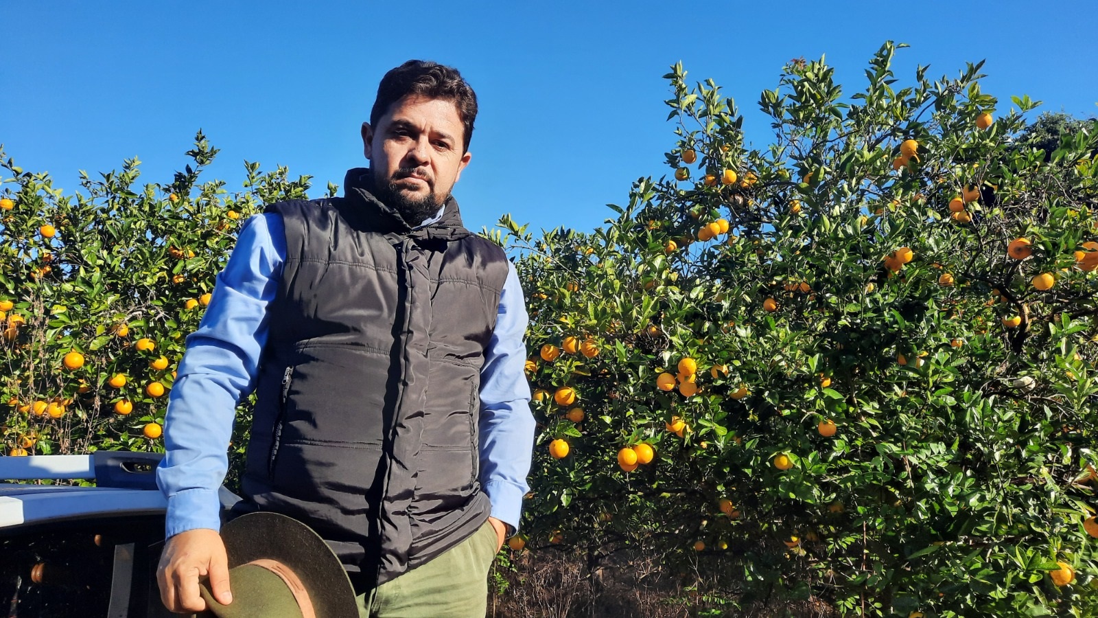 O Brasil Está Importando Leite, Soro… ou o Que, de Fato?