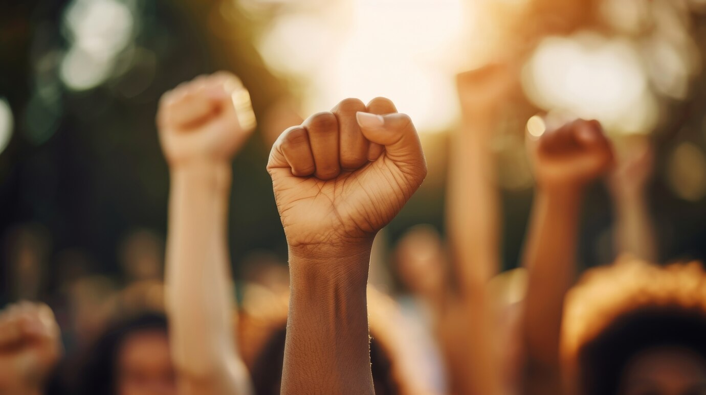 A DEMOCRACIA no Brasil!!!