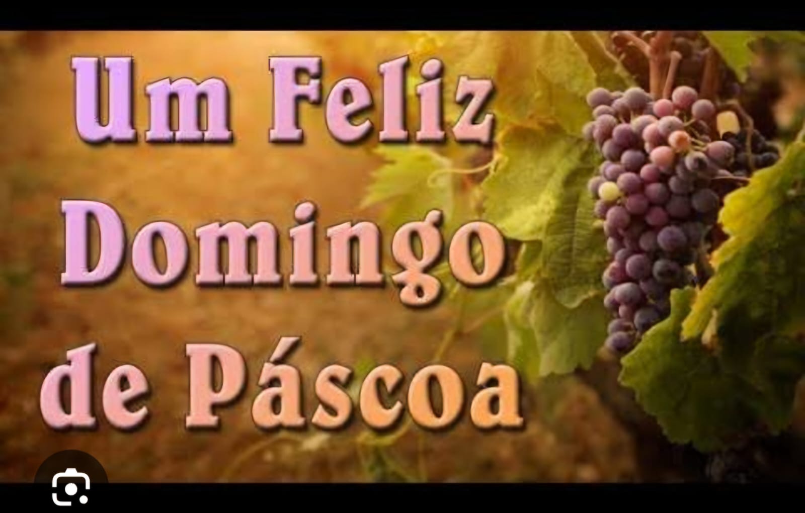 Domingo de Páscoa – A Ressurreição do Amor