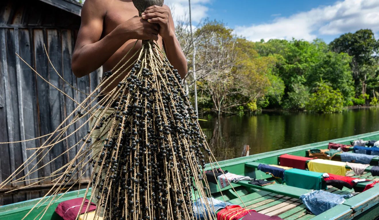 Mapeamento inédito quer atrair capital para bioeconomia de povos indígenas e tradicionais