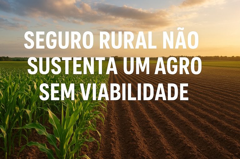Seguro Rural Não Sustenta um Agro Sem Viabilidade