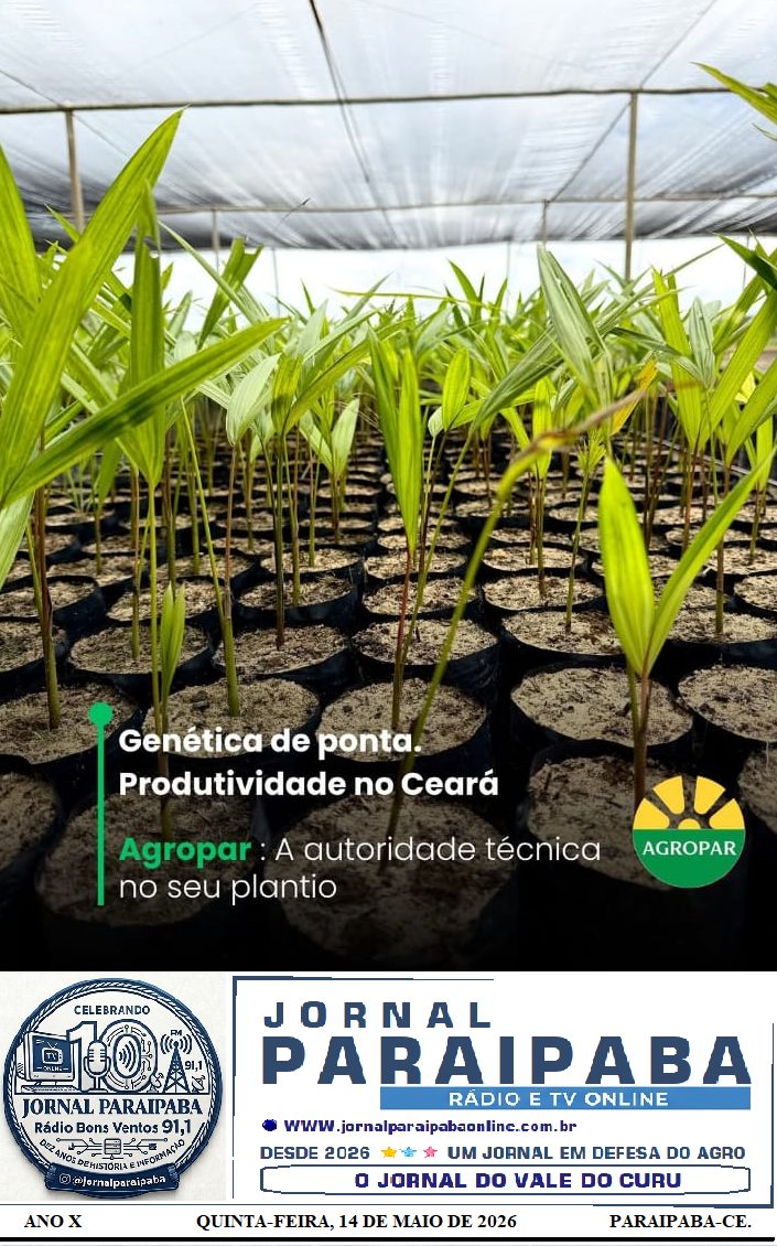 Genética de ponta – Produtividade no Ceará
